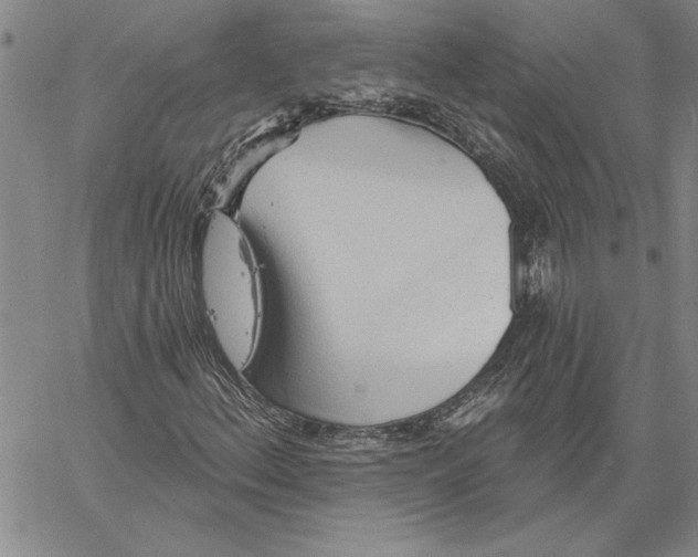 X0000060561156200512011634