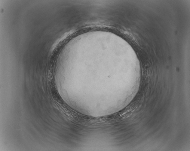 X0000060561159200512011634