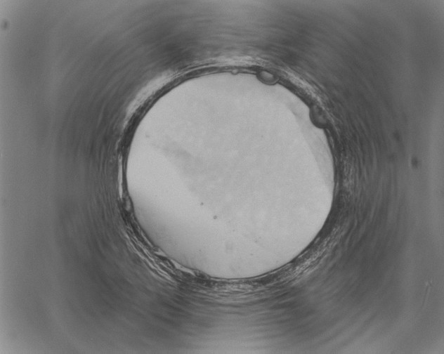 X0000060561171200512011634