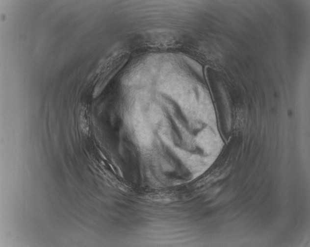 X0000060561202200512011633