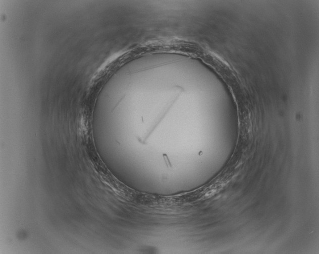 X0000060561206200512011633