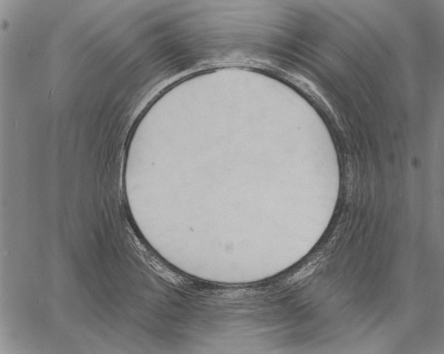 X0000060561228200512011633