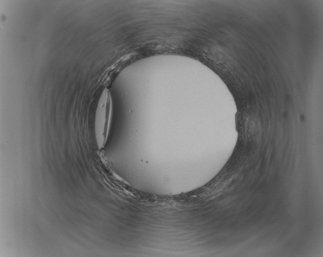 X0000060561250200512011633