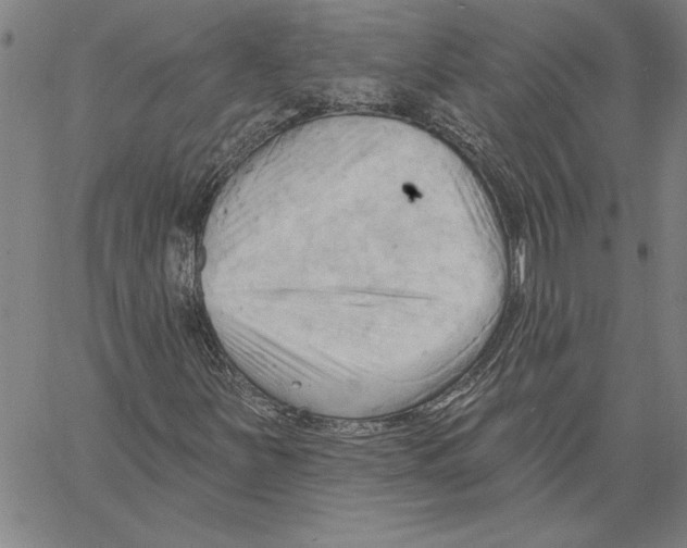 X0000060561251200512011633