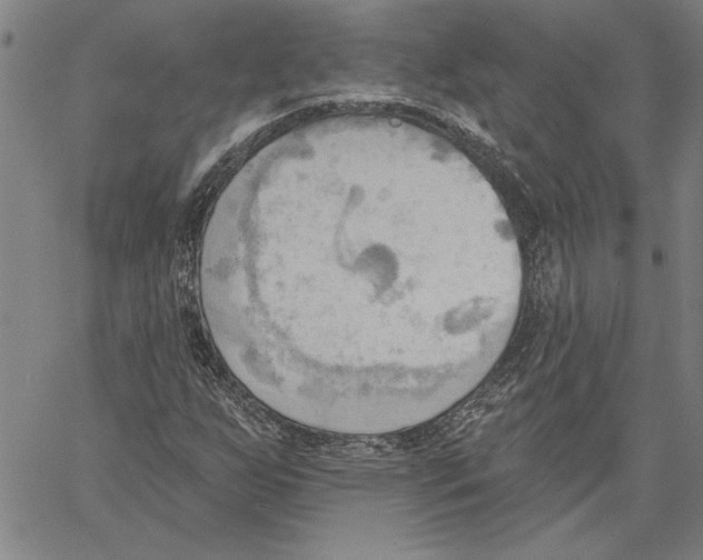 X0000060561255200512011633