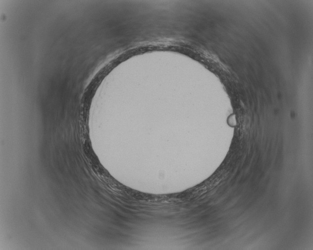 X0000060561256200512011633