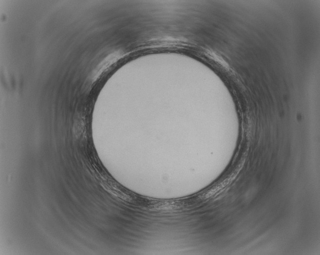 X0000060561259200512011633