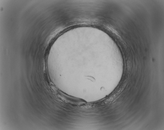 X0000060561267200512011633