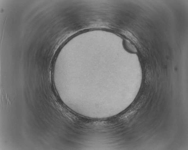 X0000060561268200512011632