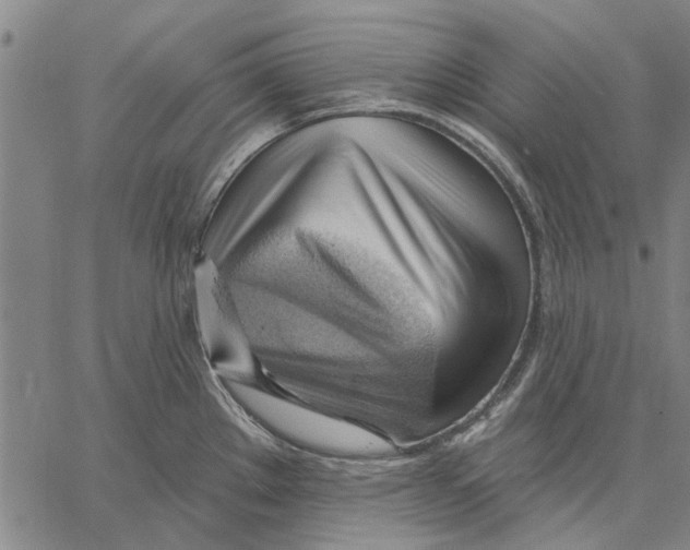 X0000060561289200512011632