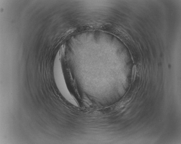 X0000060561298200512011631