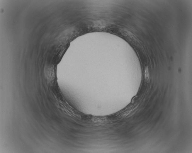 X0000060561299200512011631