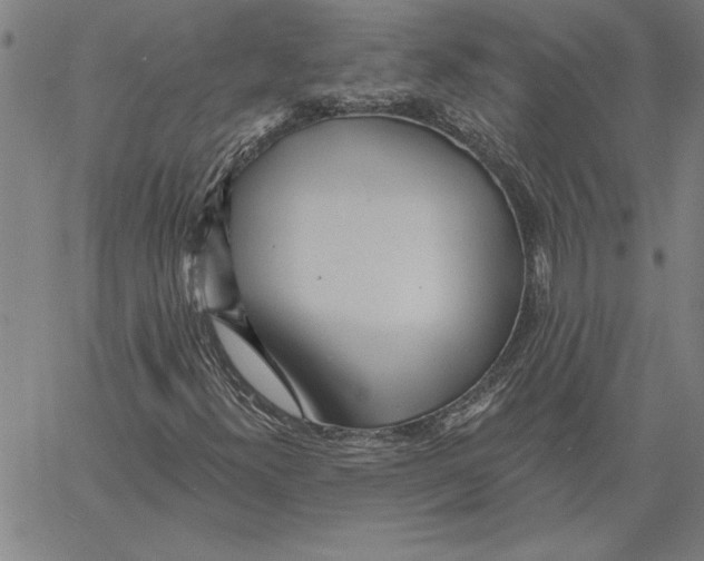 X0000060561300200512011631