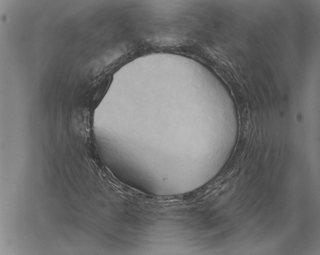 X0000060561301200512011631
