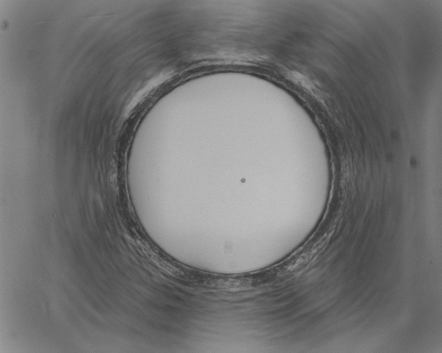 X0000060561307200512011631