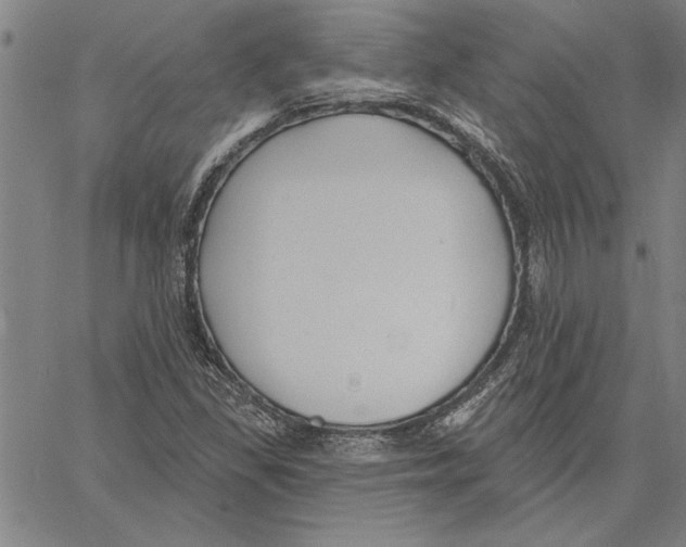 X0000060561309200512011631