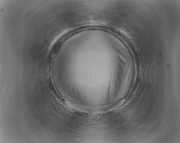 X0000060561310200512011631