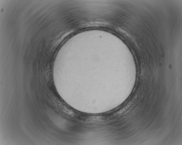 X0000060561313200512011632