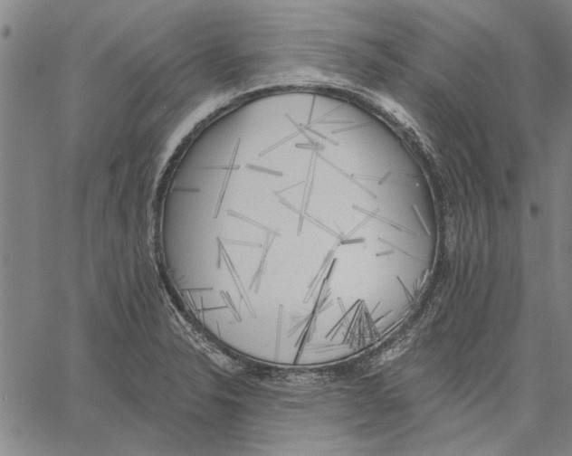 X0000060561326200512011632