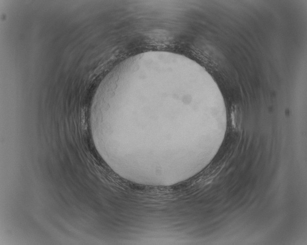 X0000060561347200512011631