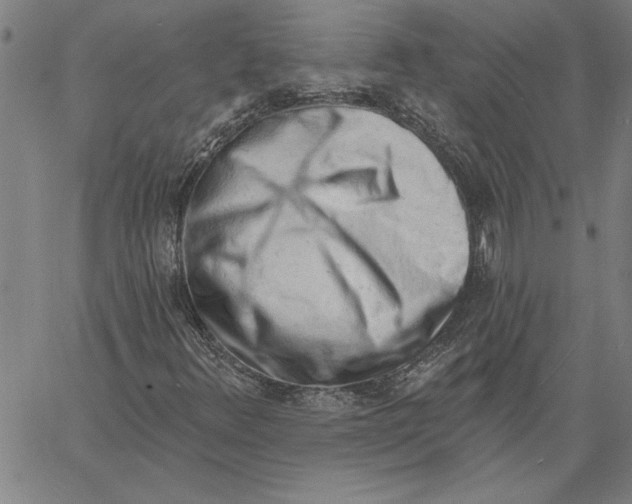 X0000060561348200512011631