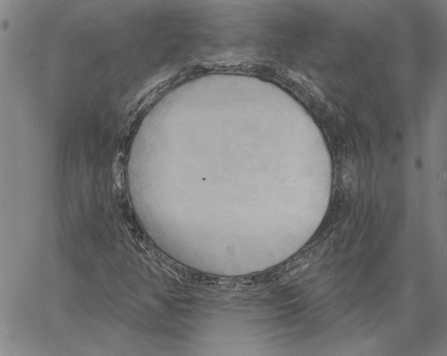 X0000060561350200512011631
