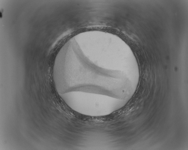 X0000060561351200512011631