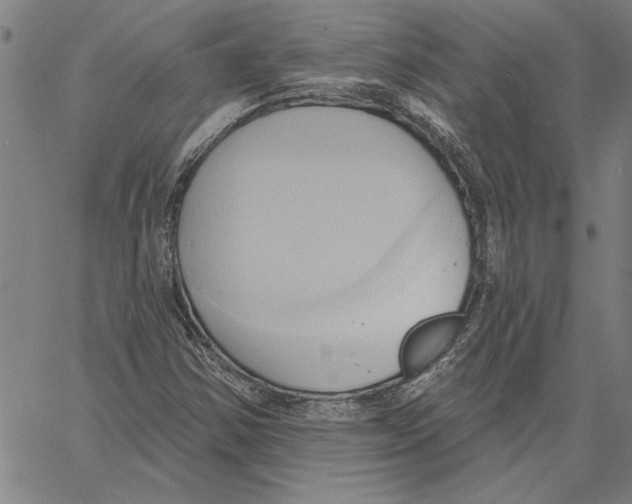 X0000060561354200512011631