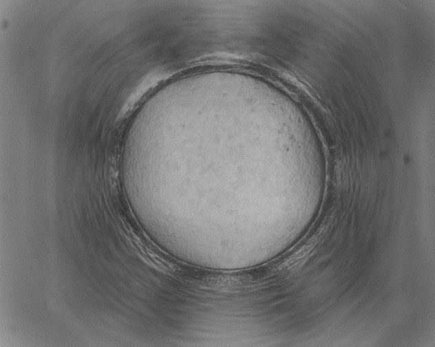 X0000060561355200512011631