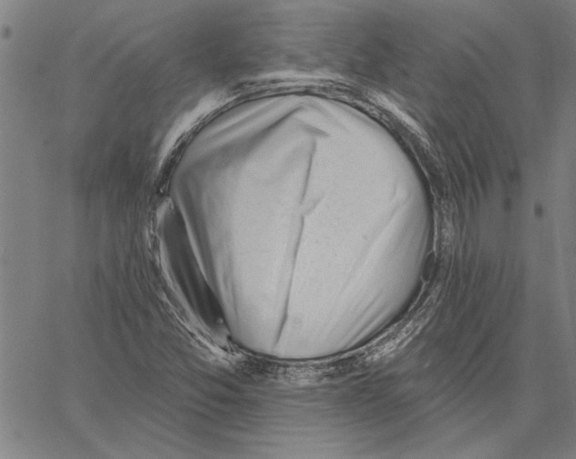 X0000060561357200512011631
