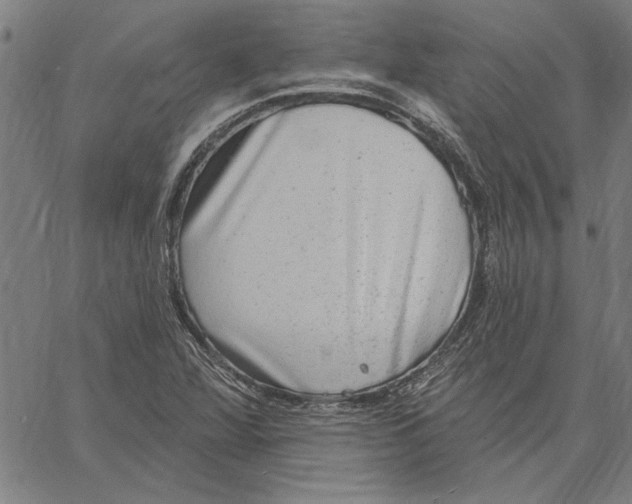 X0000060561360200512011631