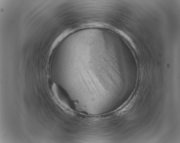 X0000060561373200512011631
