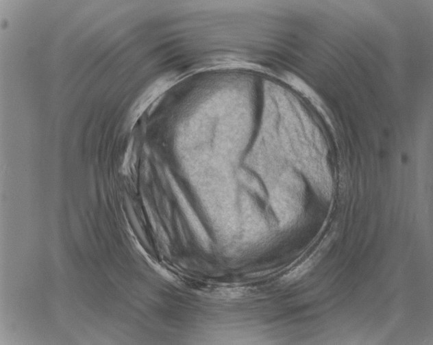 X0000060561385200512011631