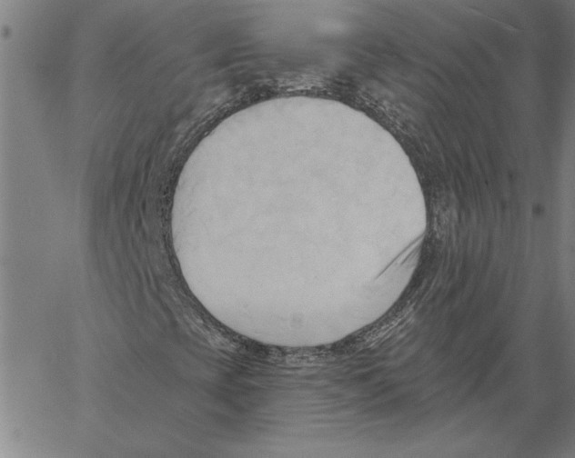 X0000060561393200512011630