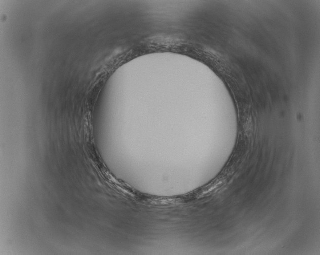 X0000060561397200512011630