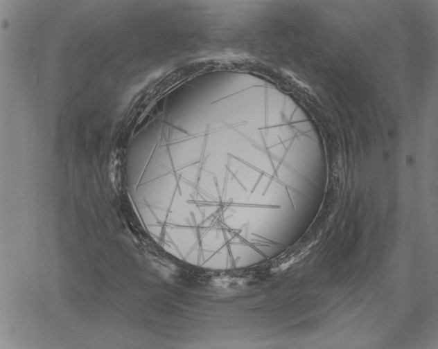 X0000060561398200512011630