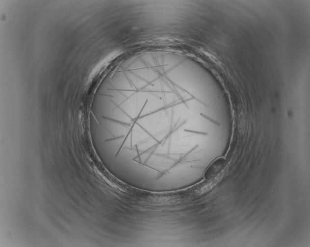 X0000060561402200512011630