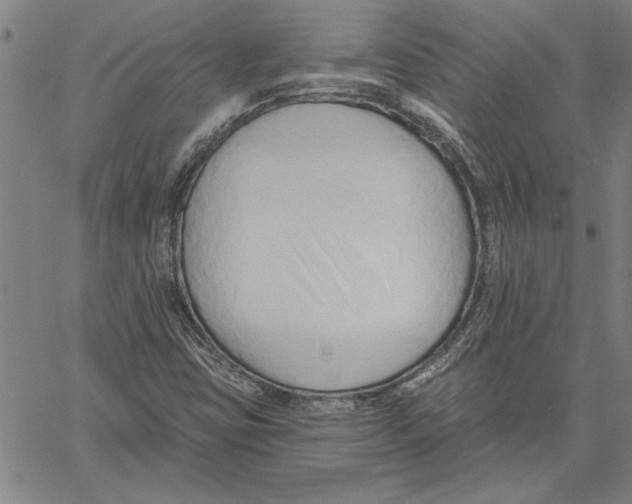 X0000060561403200512011630