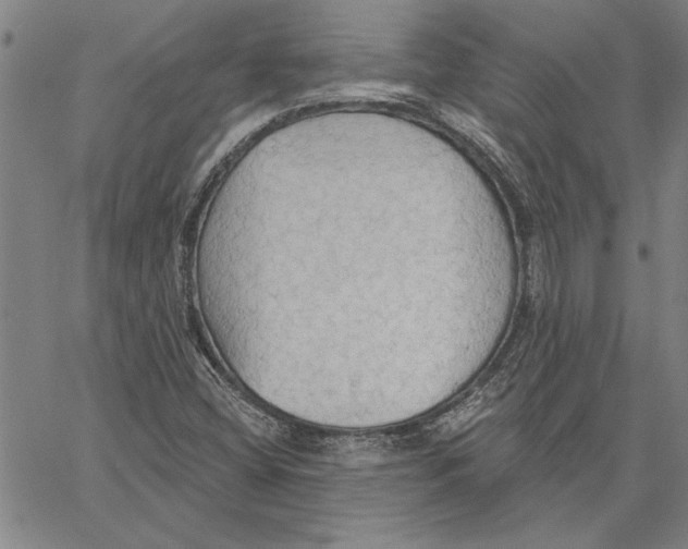 X0000060561404200512011630