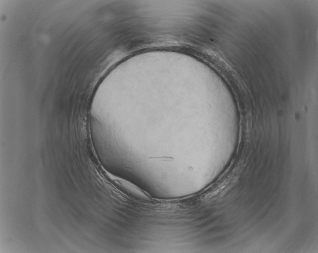 X0000060561409200512011630