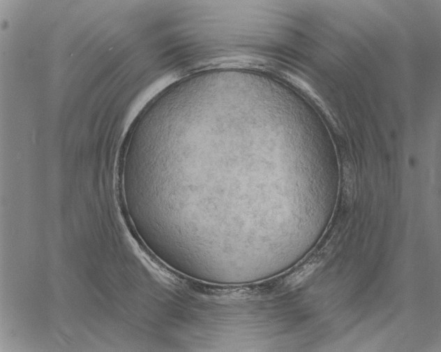 X0000060561426200512011630