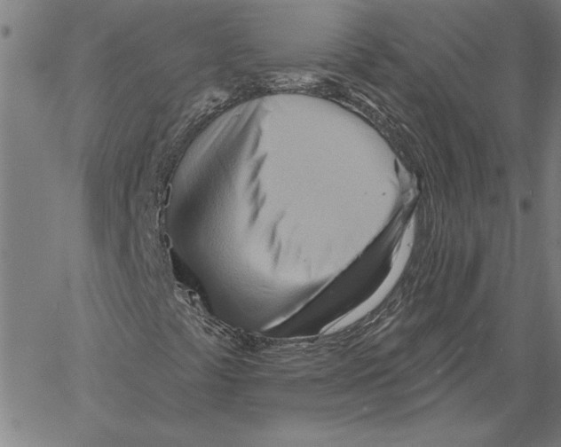 X0000060561441200512011630