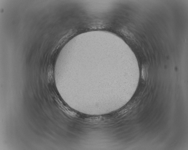 X0000060561444200512011630