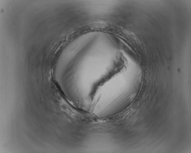 X0000060561445200512011630