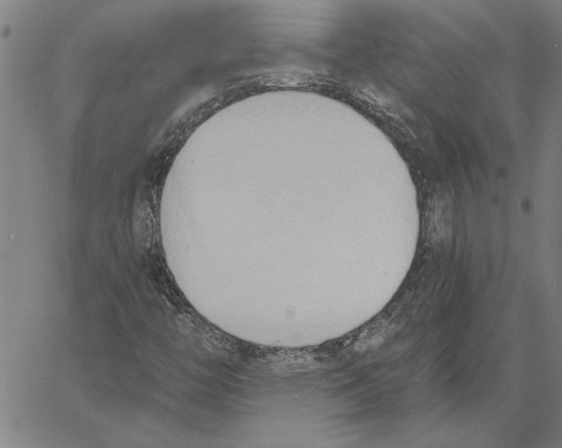 X0000060561446200512011630