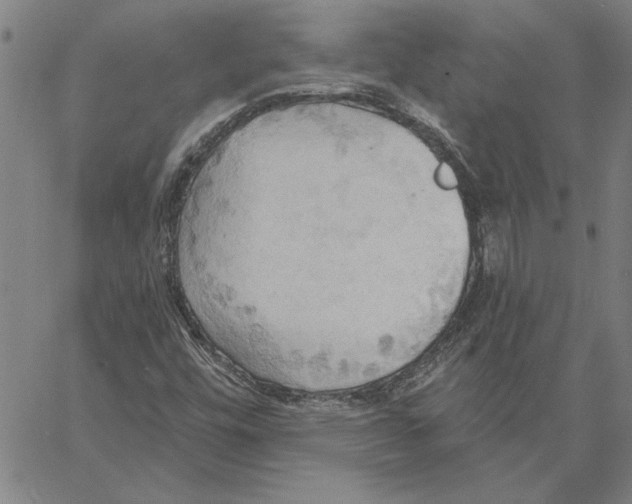 X0000060561448200512011630