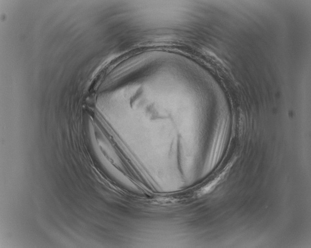 X0000060561449200512011630