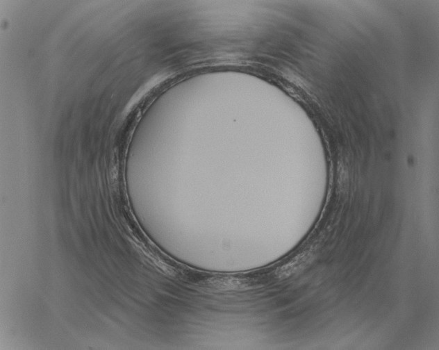 X0000060561450200512011629