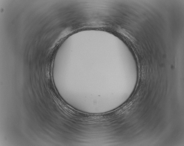 X0000060561451200512011629