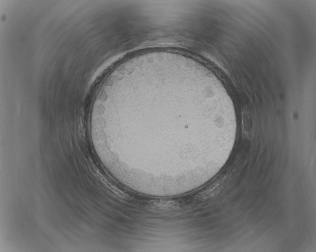 X0000060561452200512011629